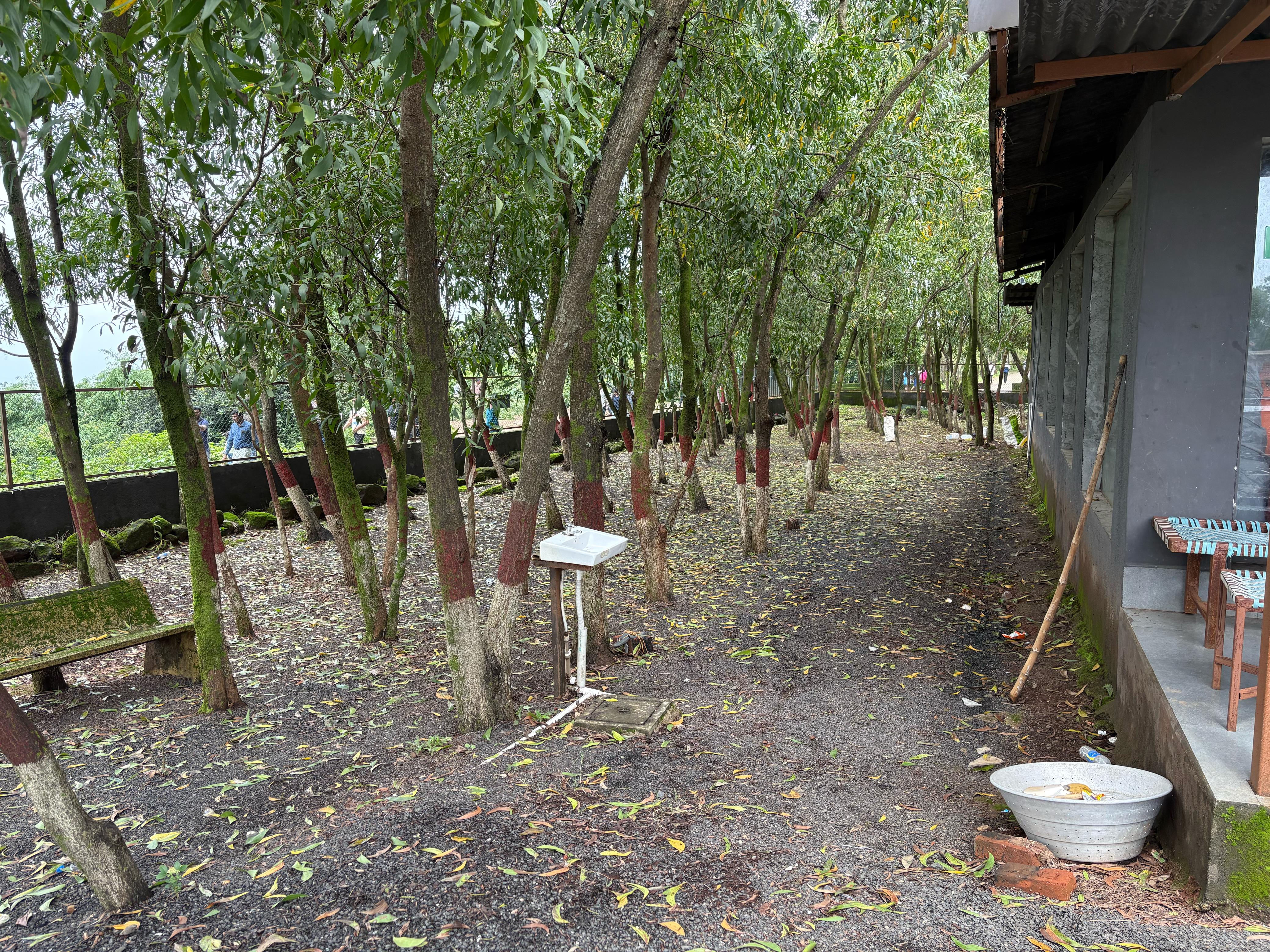 Trip Image 4